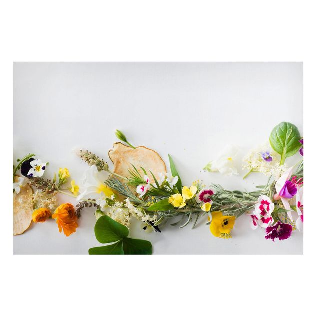Lavagne magnetiche con fiori Erbe fresche con fiori commestibili