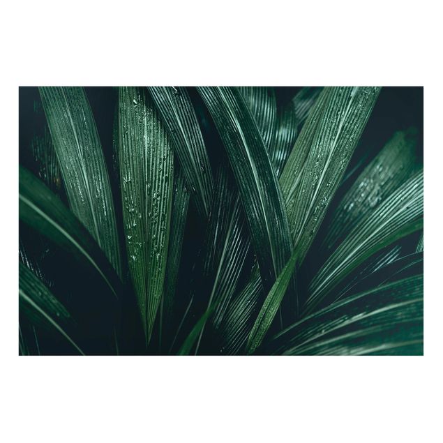 Quadri moderni   Foglie di palma verde