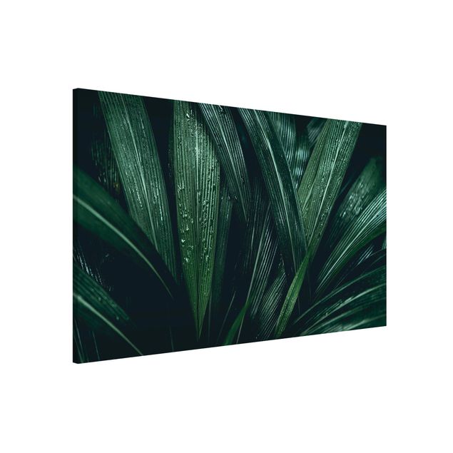 Lavagne magnetiche con fiori Foglie di palma verde