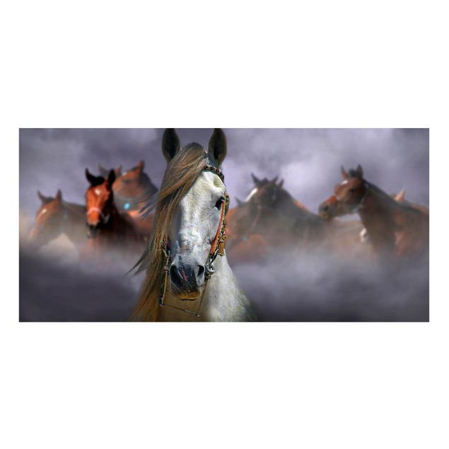 Quadro animali Cavalli nella polvere