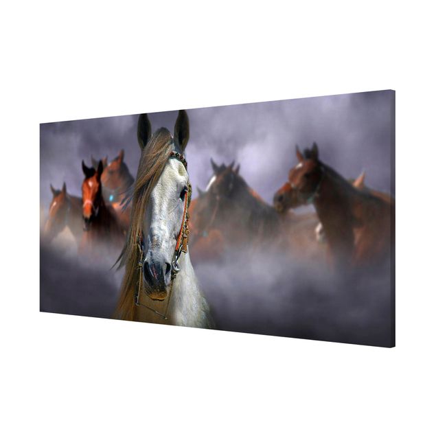 Lavagne magnetiche con animali Cavalli nella polvere