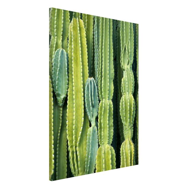 Lavagne magnetiche con fiori Muro di cactus
