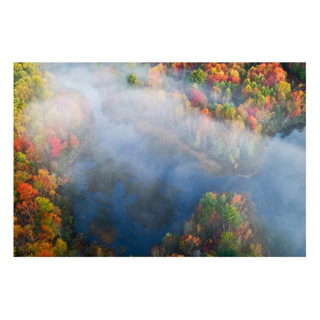 Quadri con alberi Vista aerea - Sinfonia d'autunno