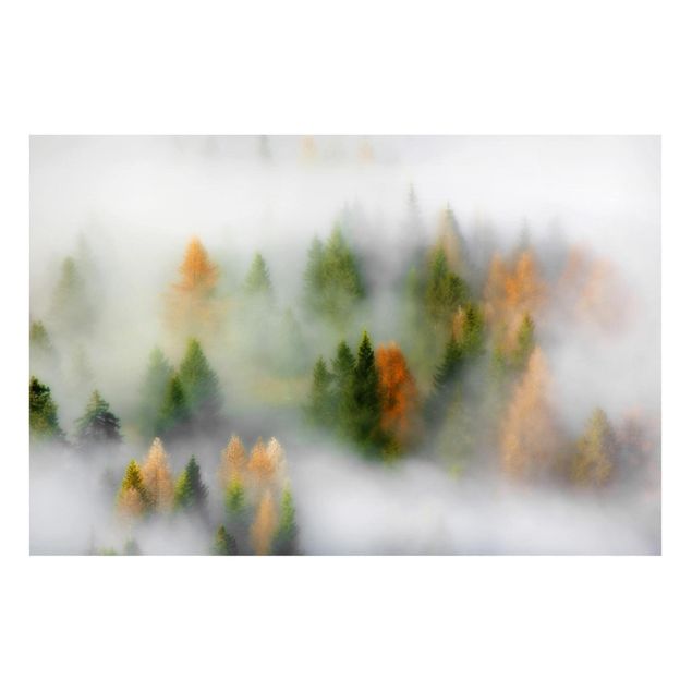 Quadri con alberi Foresta di nuvole in autunno