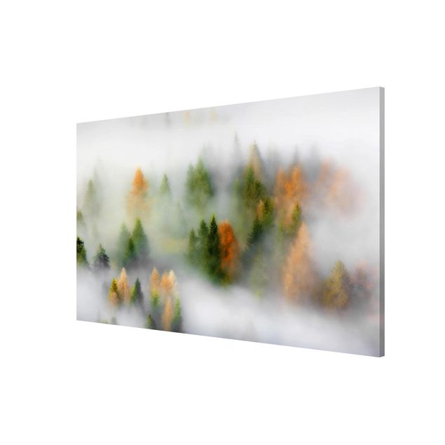 Lavagne magnetiche con paesaggio Foresta di nuvole in autunno