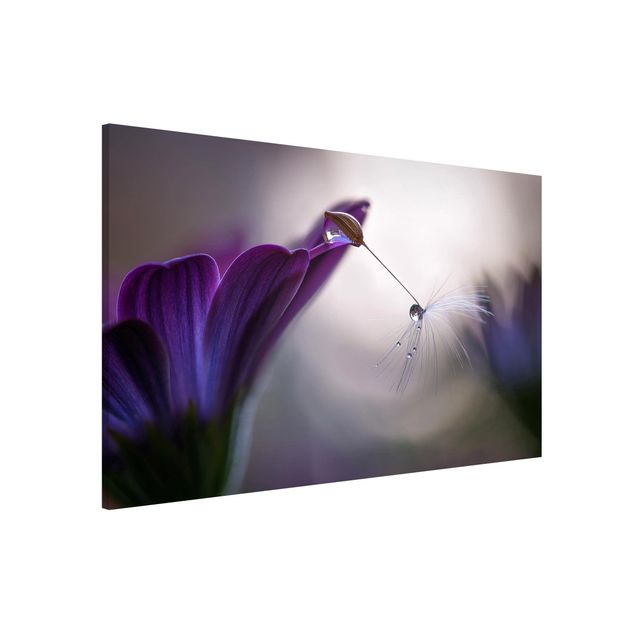 Lavagne magnetiche con fiori Pioggia viola