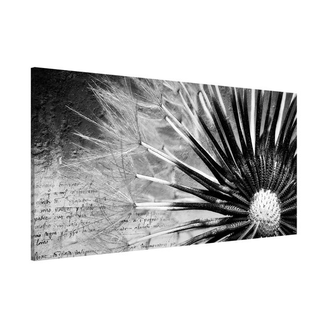 Lavagne magnetiche con fiori Soffione in bianco e nero