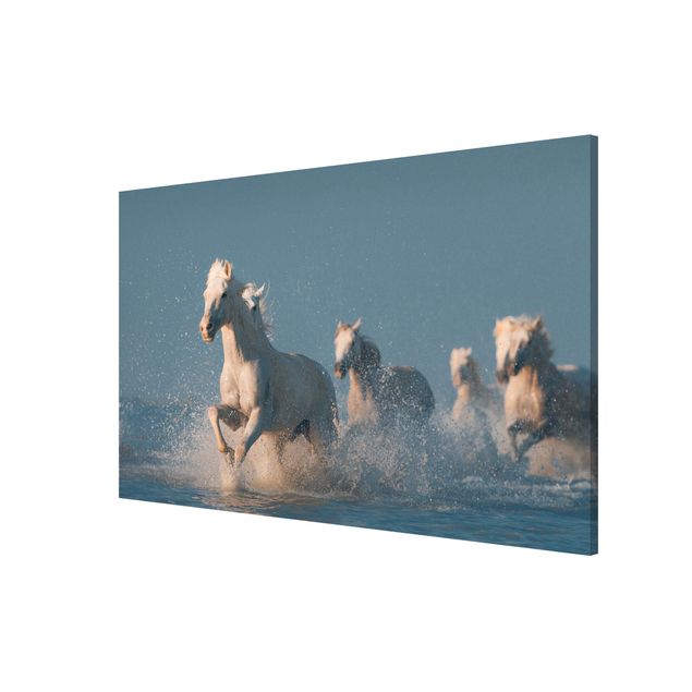 Lavagna magnetica con animali Mandria di cavalli bianchi