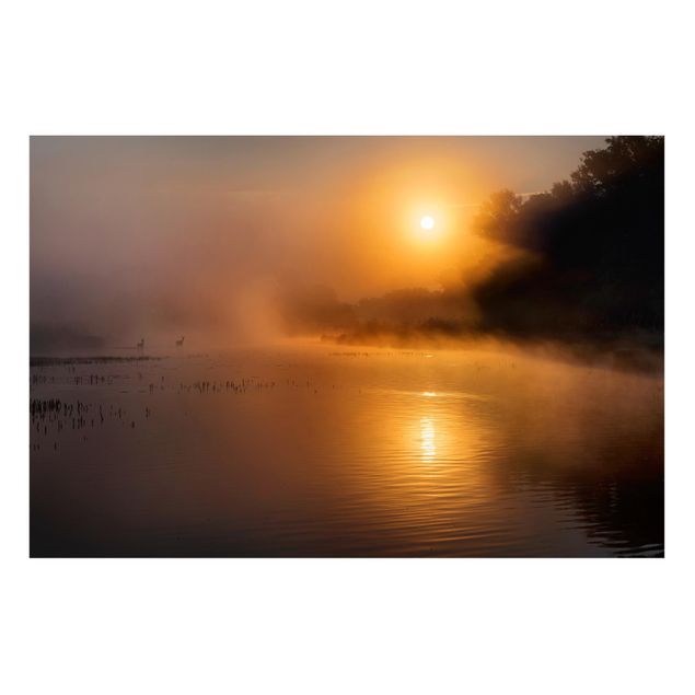 Lavagne magnetiche con paesaggio Alba sul lago con cervi nella nebbia