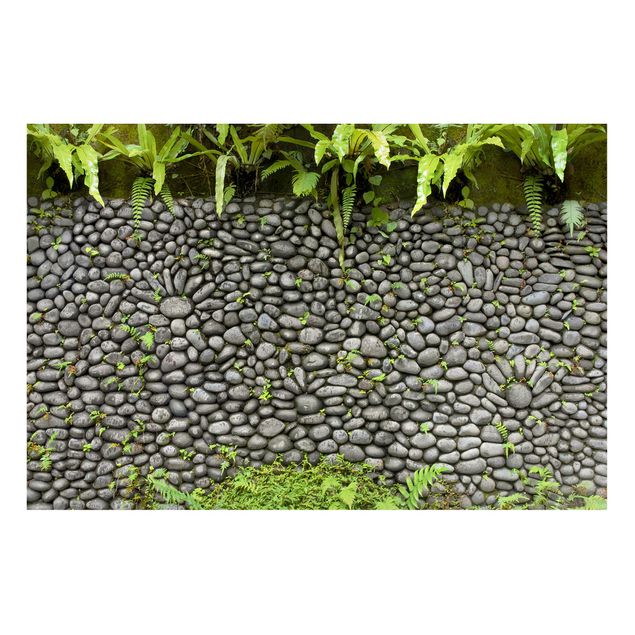 Lavagne magnetiche con disegni Muro di pietra con piante