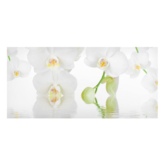 Lavagne magnetiche con fiori Orchid Wellness Orchid