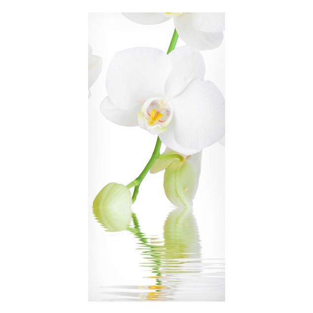 Lavagne magnetiche con fiori Orchid Wellness Orchid