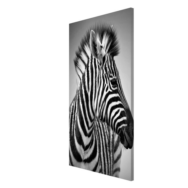 Quadri moderni   Ritratto di piccola zebra II