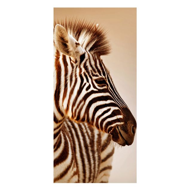 Quadri con zebre Ritratto di piccola zebra