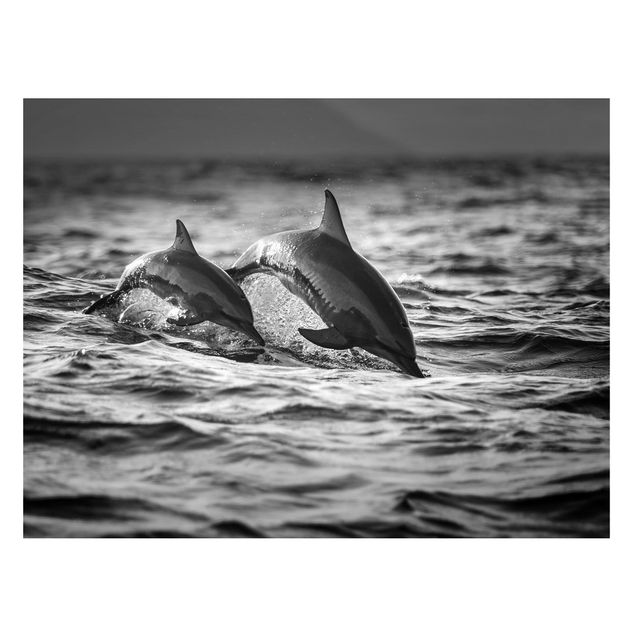 Quadro moderno Due delfini che saltano