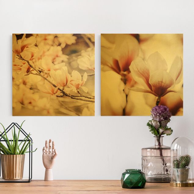 Quadri su tela componibili Set di fiori di magnolia