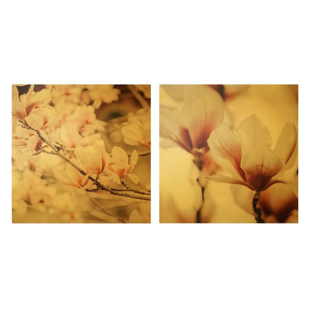Quadri Monika Strigel Set di fiori di magnolia