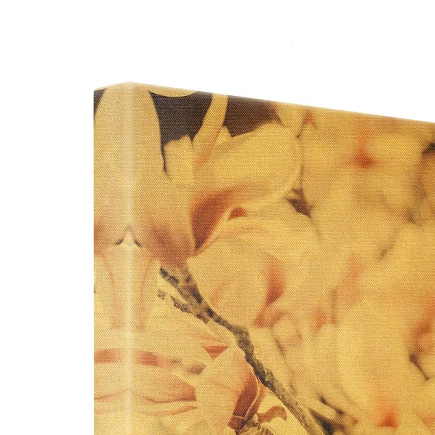 Stampa su tela Set di fiori di magnolia