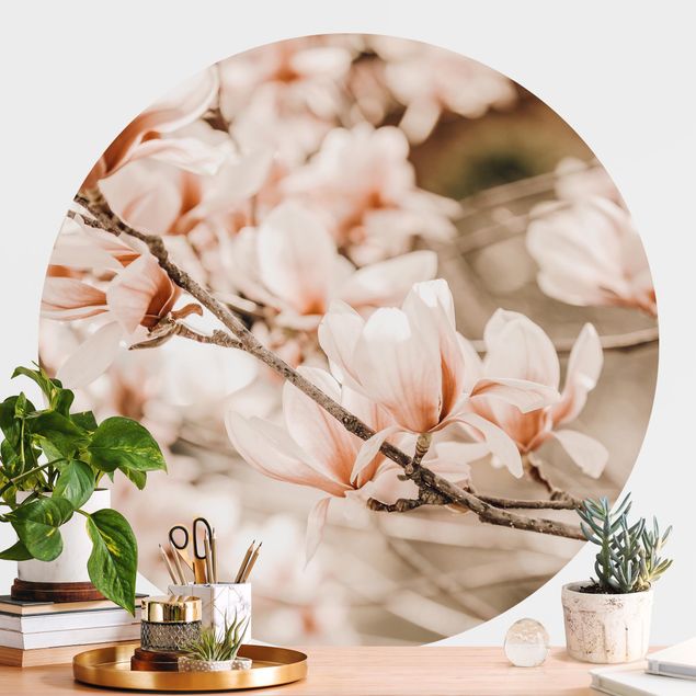 Carte da parati adesive Ramoscello di magnolia in stile vintage