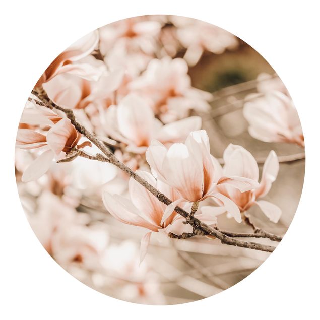 Carta da parati paesaggio Ramoscello di magnolia in stile vintage
