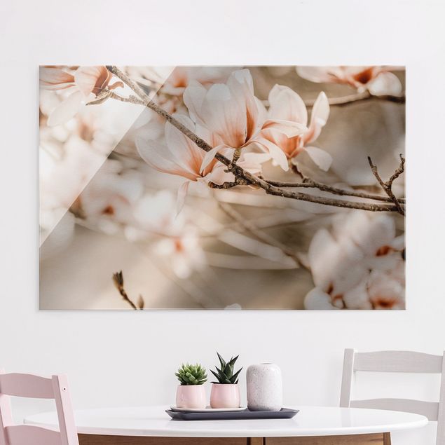 Quadri paesaggistici Ramoscello di magnolia in stile vintage