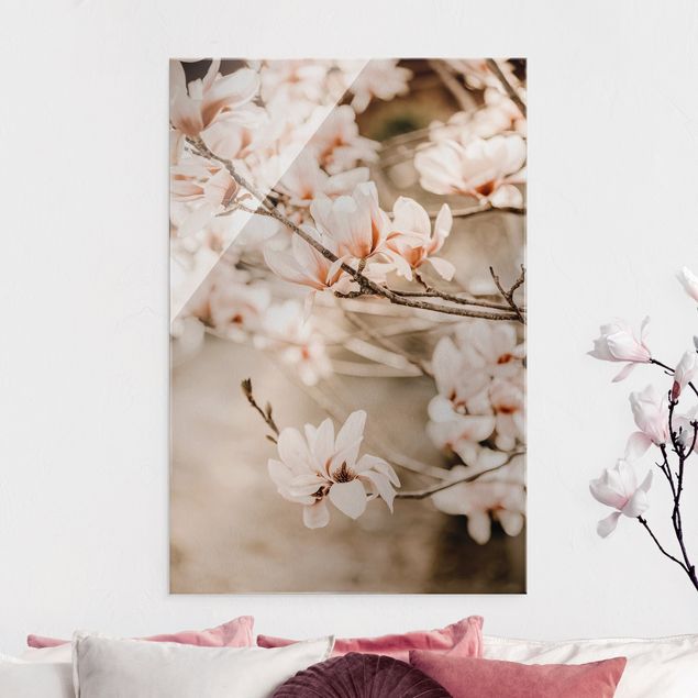 Quadri con alberi Ramoscello di magnolia in stile vintage