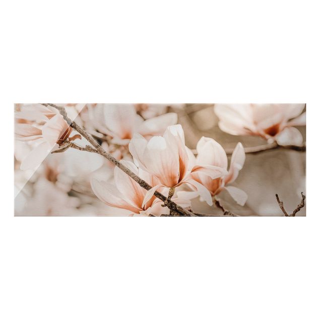 Quadri stile vintage Ramoscello di magnolia in stile vintage