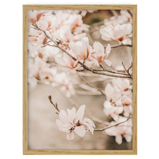 Quadri con cornice vintage Ramoscello di magnolia in stile vintage