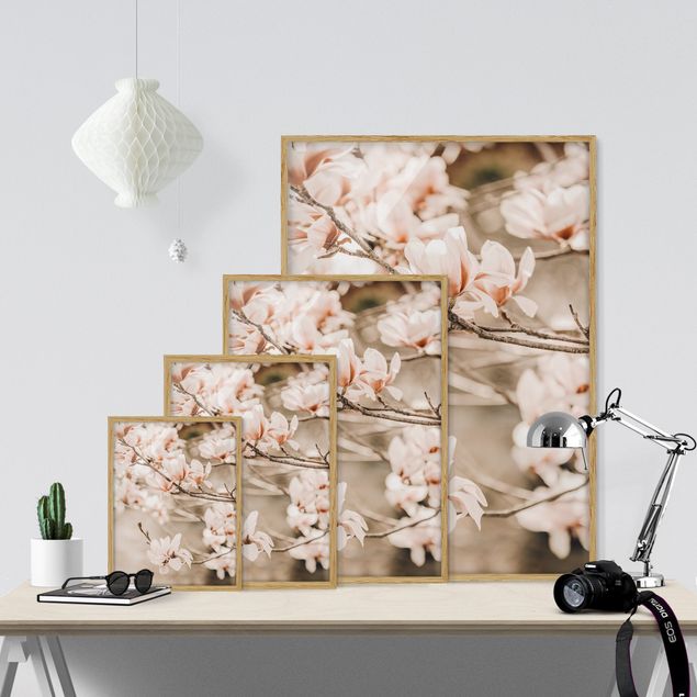 Quadri moderni   Ramoscello di magnolia in stile vintage