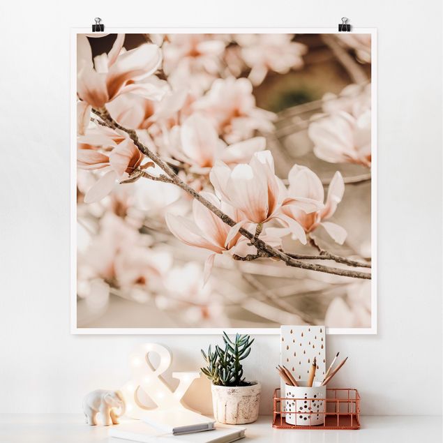 Quadro paesaggio Ramoscello di magnolia in stile vintage