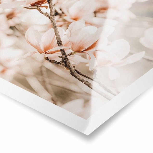 Quadro marrone Ramoscello di magnolia in stile vintage