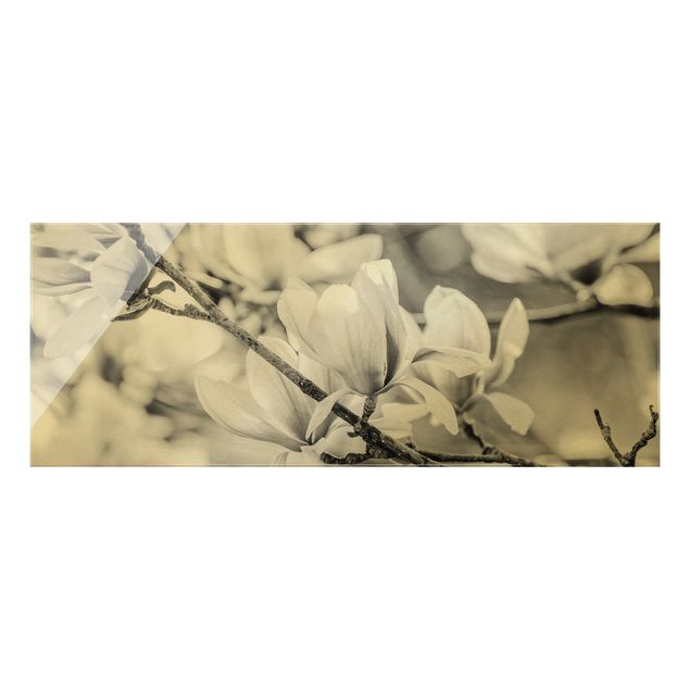Quadri Ramoscello di magnolia in stile vintage II