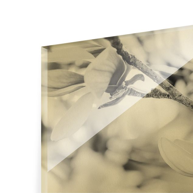 Magnettafel Glas Ramoscello di magnolia in stile vintage II
