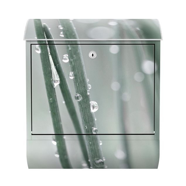 Cassetta postale verde Macro immagine perle d'acqua sull'erba
