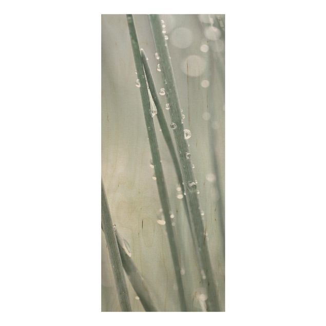 Quadri Monika Strigel Macro immagine perle d'acqua sull'erba