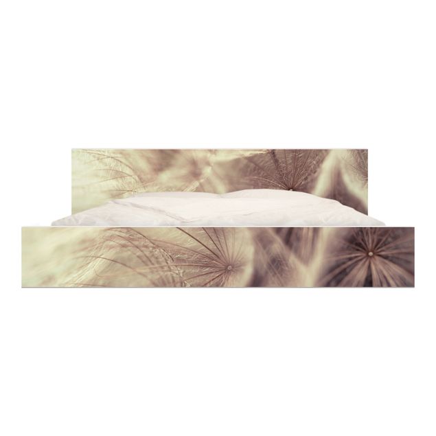 Pellicola adesiva beige Macro ripresa dettagliata di un Soffione con effetto sfocato vintage
