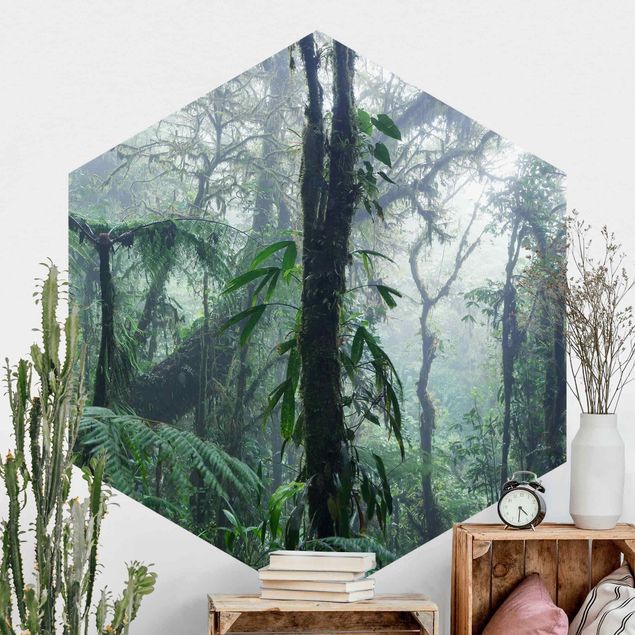 Carte da parati adesive Foresta nuvolosa di Monteverde