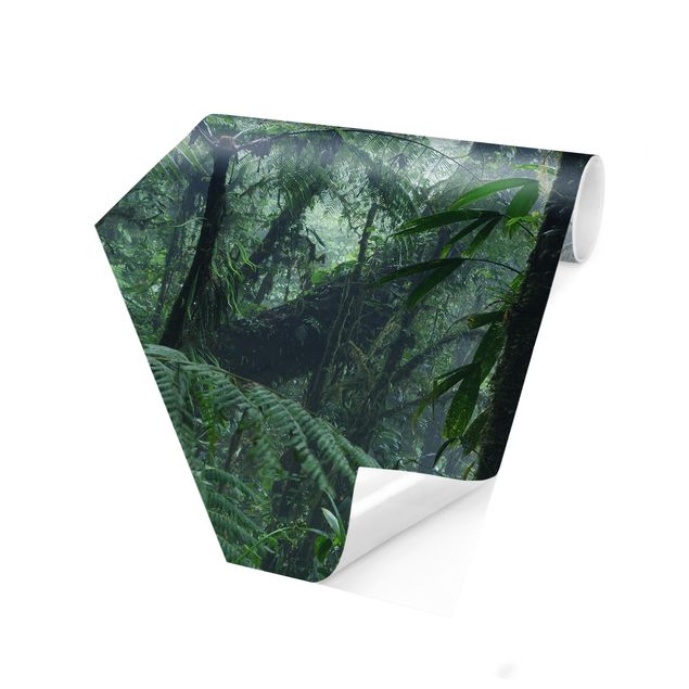 Fotomurale esagonale Foresta nuvolosa di Monteverde