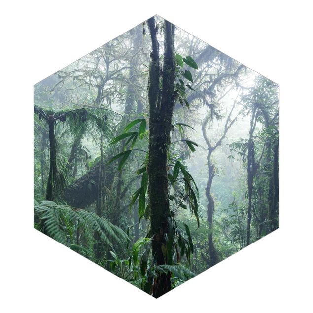 Carta da parati verdi Foresta nuvolosa di Monteverde