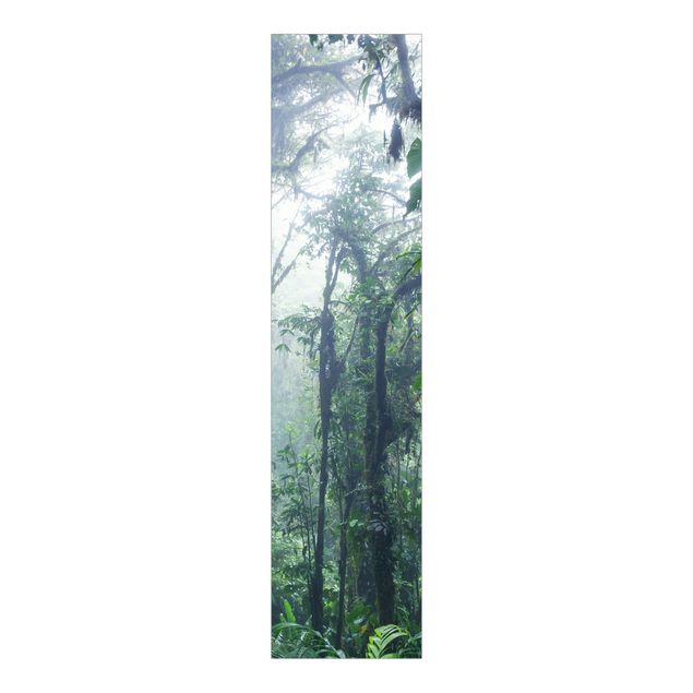 Quadri Matteo Colombo Foresta nuvolosa di Monteverde