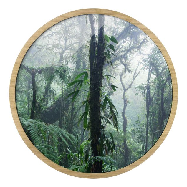 Quadri moderni per arredamento Foresta nuvolosa di Monteverde
