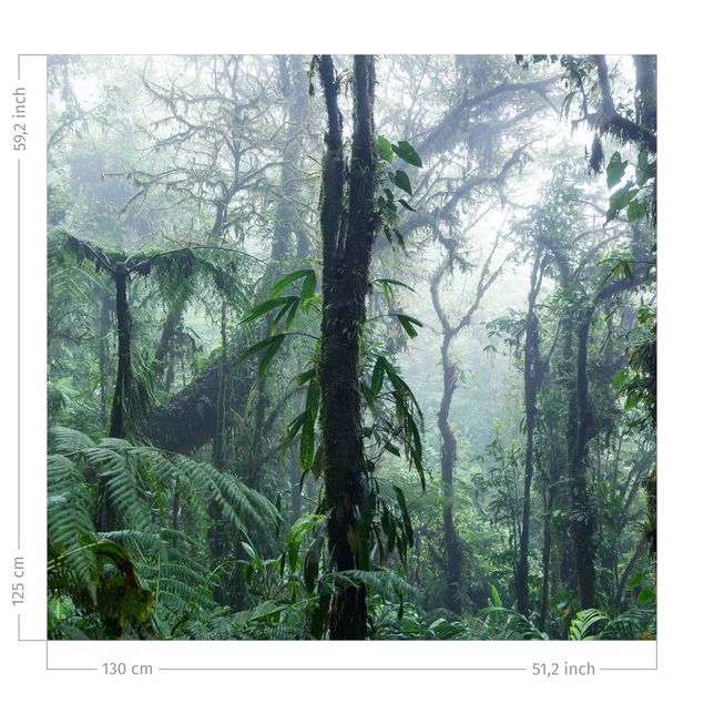 Tende foresta Foresta nuvolosa di Monteverde