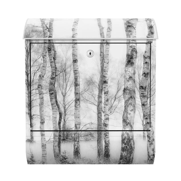Cassette della posta con paesaggio Foresta di betulle mistica in bianco e nero