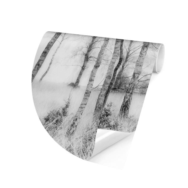 Carta da parati tessuto non tessuto Foresta di betulle mistica in bianco e nero