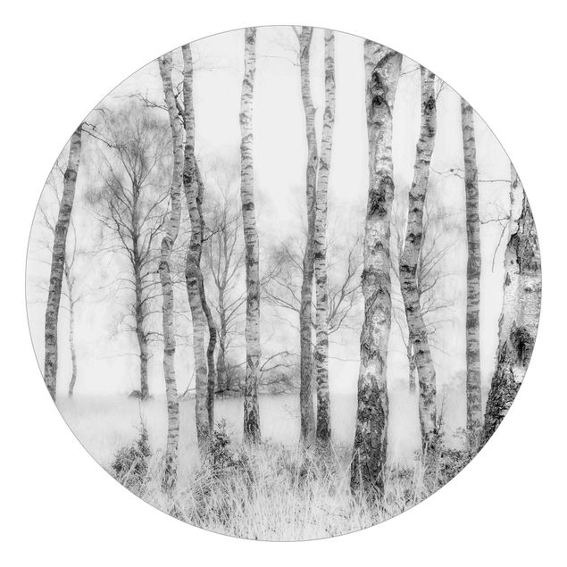 Carte da parati moderne Foresta di betulle mistica in bianco e nero