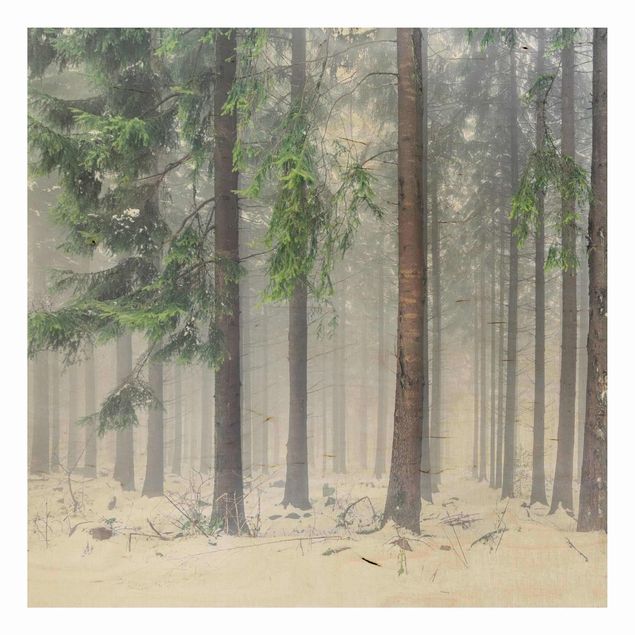 Quadri in legno con paesaggio Conifere in inverno