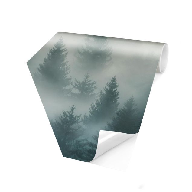 Fotomurale esagonale Foresta di conifere nella nebbia