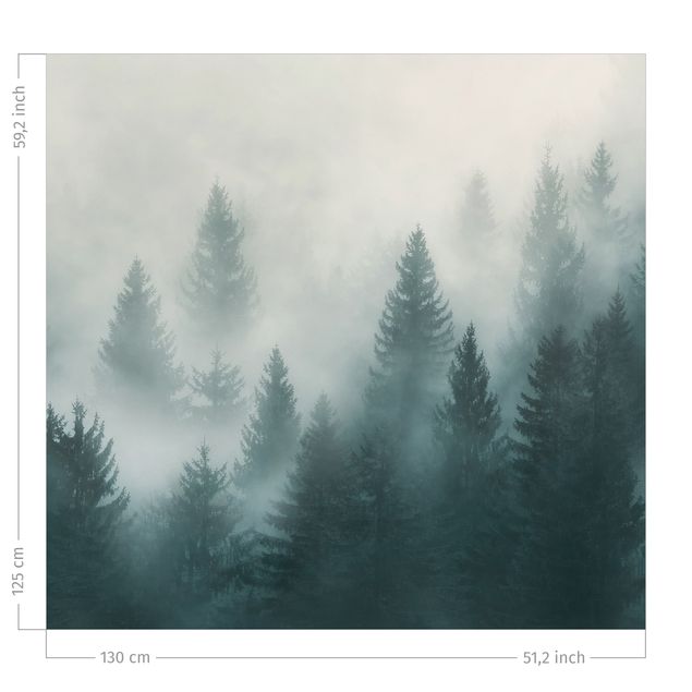 Tende foresta Bosco di conifere nella nebbia