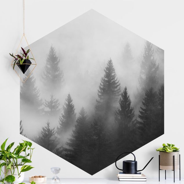 Carta da parati adesiva Foresta di conifere nella nebbia Bianco e nero