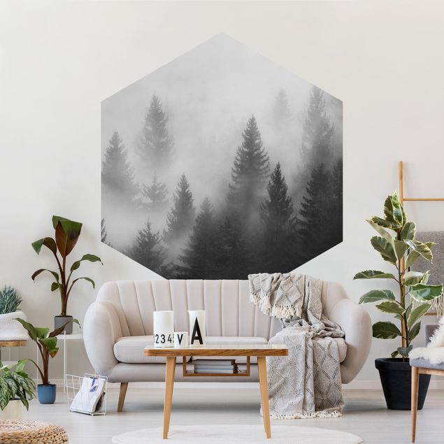 Carte da parati moderne Foresta di conifere nella nebbia Bianco e nero